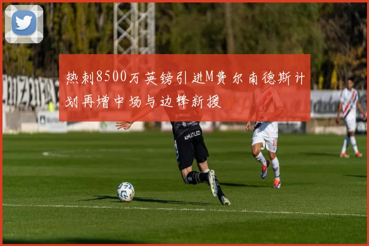 热刺8500万英镑引进M费尔南德斯计划再增中场与边锋新援