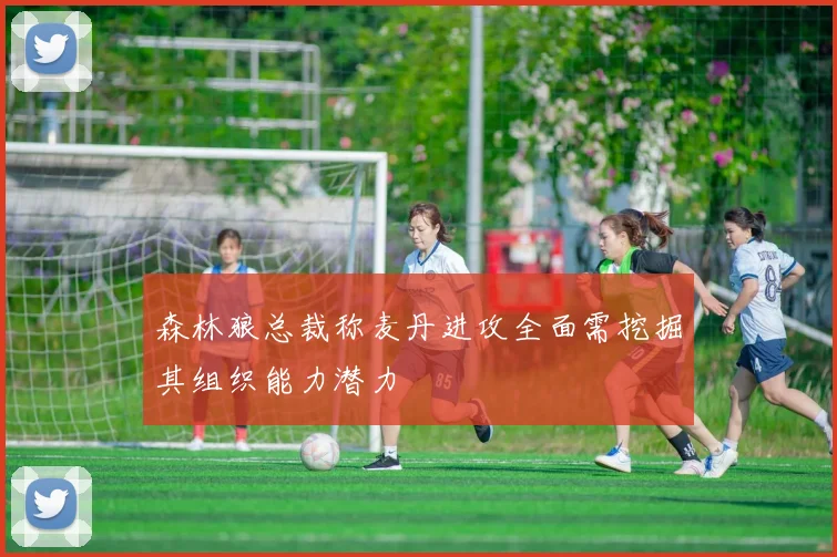 森林狼总裁称麦丹进攻全面需挖掘其组织能力潜力