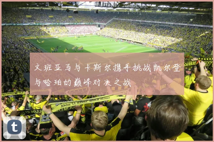 文班亚马与卡斯尔携手挑战凯尔登与哈珀的巅峰对决之战