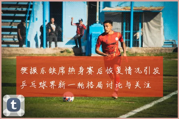 樊振东缺席热身赛后恢复情况引发乒乓球界新一轮格局讨论与关注