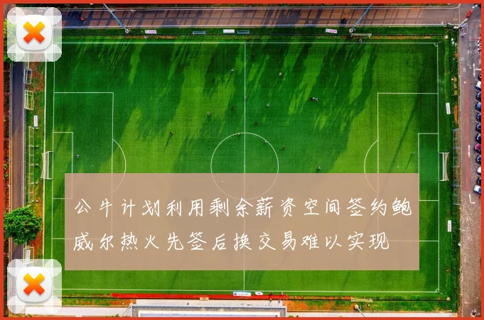 公牛计划利用剩余薪资空间签约鲍威尔热火先签后换交易难以实现